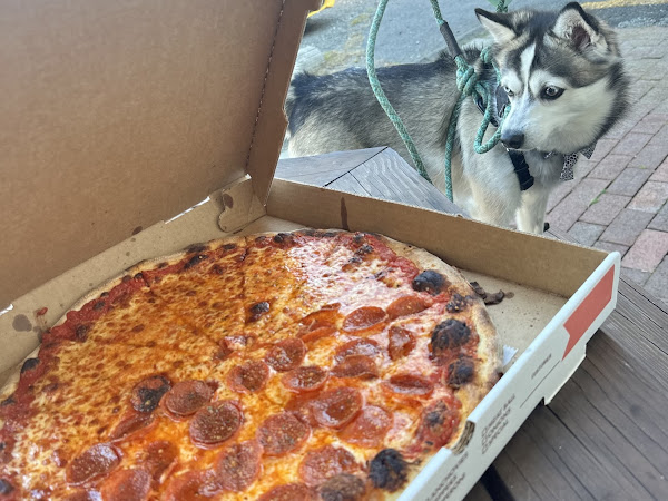 Pizza review photo