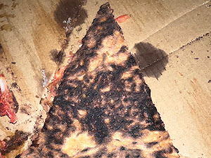 Pizza review photo
